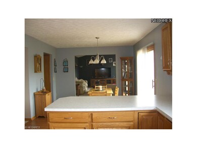 4316 Pletzer Blvd, Rootstown, OH 44272 - photo 7