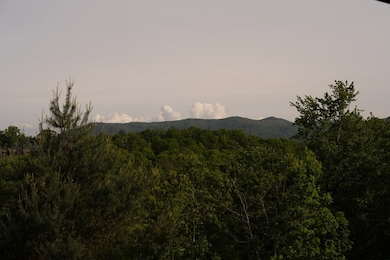 Tract 2 Century Ln, Blue Ridge, GA 30513 - photo 4