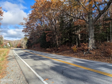 443 Lake Desolation Rd, Middle Grove, NY 12850 - photo 2