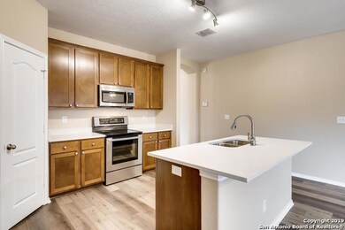 10607 Cosmos Canyon, Helotes, TX 78023 - photo 5