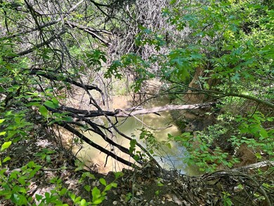 TBD Forest Trail Ct, Weatherford, TX 76085 - photo 6