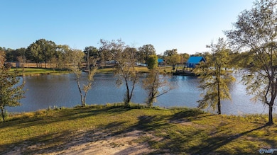 Lot 28 County Road 115, Cedar Bluff, AL 35959 - photo 4