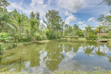 pond