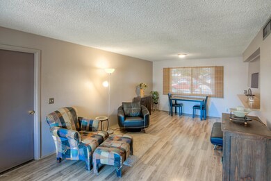 Spacious Family Room