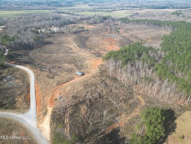 0 Cr-209 Rd unit 4133274, Walnut, MS 38683 - photo 3