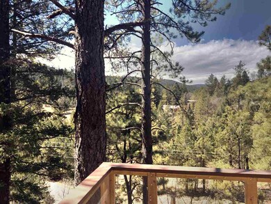 6 Wimsatt Rd unit 6, Cloudcroft, NM 88317 - photo 3