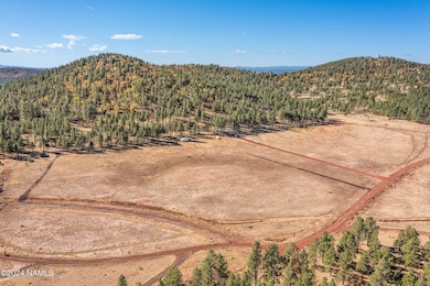 14638 E Keith Dr, Parks, AZ 86018 - photo 7