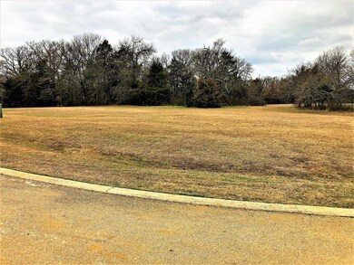 Lot 13E Dublin Cir, Gordonville, TX 76245 - photo 5