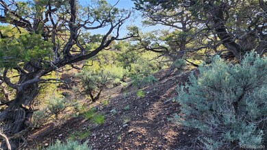 1702 Luke Rd, Fort Garland, CO 81133 - photo 6