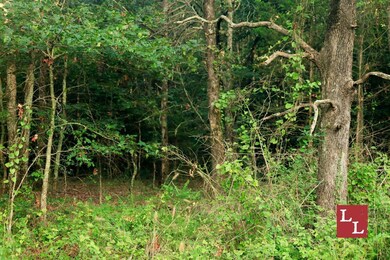 Rock Hill Rd, Wapanucka, OK 73461 - photo 5