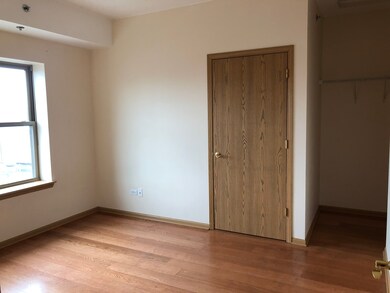 2322 S Canal St unit 411, Chicago, IL 60616 - photo 4
