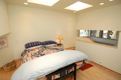 311 S Aspen St unit 6, Aspen, CO 81611 - photo 5