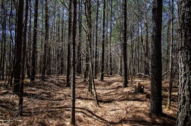 0 Country Side Ln Lot #51 unit RTC2424319, Spencer, TN 38585 - photo 5