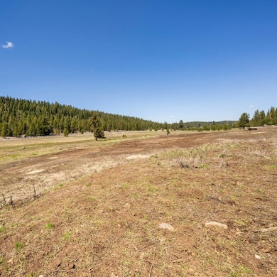 Lot 29 To Be Determined unit 29, McCall, ID 83638 - photo 2