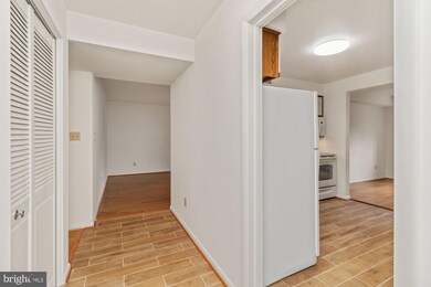 110 Castletown Rd unit 301, Lutherville Timonium, MD 21093 - photo 2