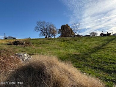 2043 Sterling Ridge Dr, Summit Township, MO 65043 - photo 5