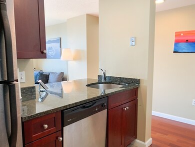 Regatta Riverview Residences unit 1508, Cambridge, MA 02141 - photo 6