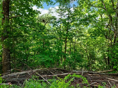 648 Almost Heaven Way, Gatlinburg, TN 37738 - photo 7