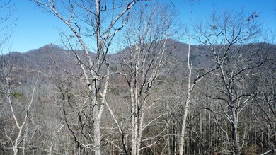 Tbd Hornet Dr, Whittier, NC 28789 - photo 3