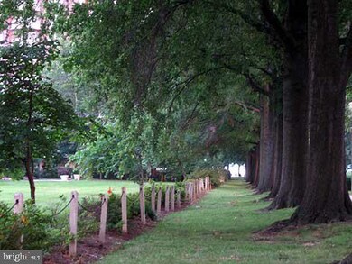 Tiber Island unit W-202, Washington, DC 20024 - photo 7