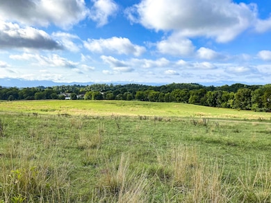 0 Hwy 139 unit RTC2409459, Dandridge, TN 37725 - photo 2