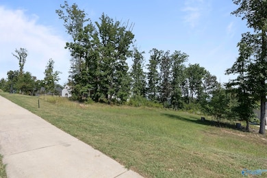 14 Watson Grande Way SE, Owens Cross Roads, AL 35763 - photo 3