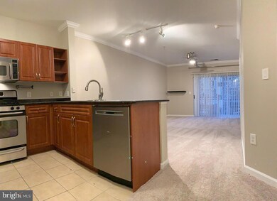 12917 Centre Park Cir unit 212, Herndon, VA 20171 - photo 2