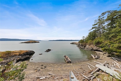 9923 Pull and Be Damned Point Rd, La Conner, WA 98257 - photo 4