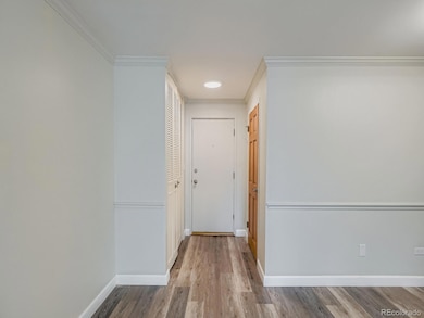 Entrance Foyer With Closets on Both Sides