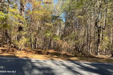 1646 Morgan Sellers Rd, Wadesboro, NC 28170 - photo 3