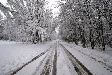 0 Walkerville Rd, Brandon, NY 12966 - photo 4