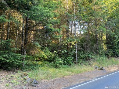 0 Germany Creek Rd unit 1635470, Longview, WA 98632 - photo 5