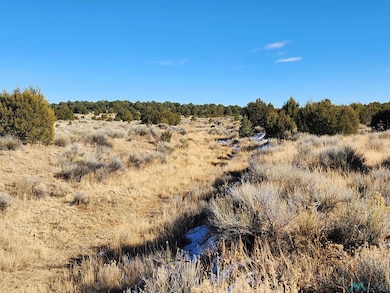 TBD Ponderosa Ranches Trail, Pie Town, NM 87827 - photo 7