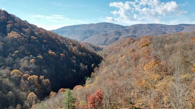 0` Hondo Ln, True, WV 25951 - photo 6