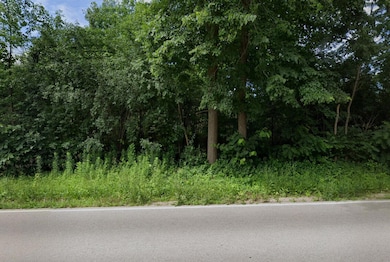 Lot View