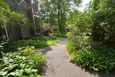 47 Pine Grove, Amherst, MA 01002 - photo 3