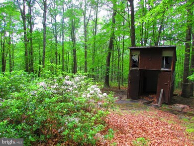 13 Rock Slide Way, Romney, WV 26757 - photo 2