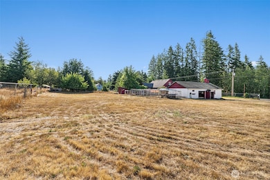 Back and side yard. Apple and cherry tree to left of house.