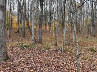 0 County Highway 10 unit R1653302, East Meredith, NY 13757 - photo 7