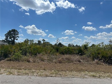 View of local wilderness