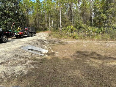 3824 NW Miller Rd, Altha, FL 32421 - photo 7