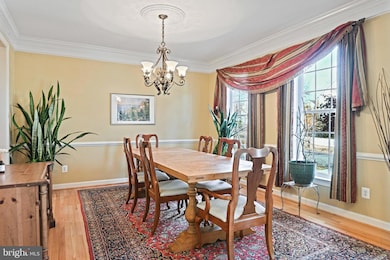 20553 Middlebury St, Ashburn, VA 20147 - photo 6