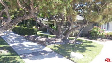 Front Trees