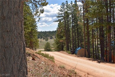 View of dirt / gravel road featuring a forest view