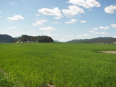 000 Schmidlekofer Rd, Chewelah, WA 99109 - photo 6