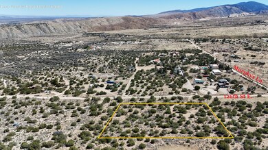 E 04. DJI_20250323122317_0093_D