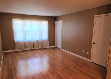 2421 Barracks Place unit 1, Charlottesville, VA 22901 - photo 4