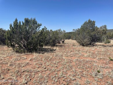 31767 W Rancho Vista Ln, Seligman, AZ 86337 - photo 7