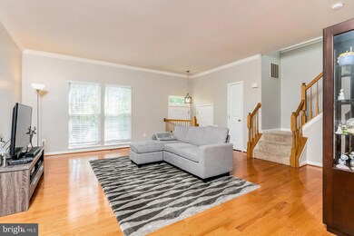 20325 Briarcliff Terrace, Sterling, VA 20165 - photo 5