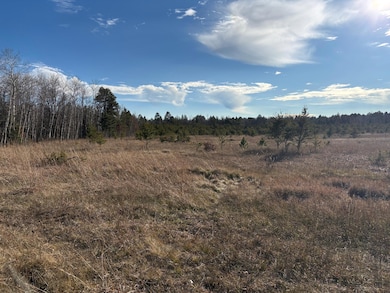 7839 Birchmont Beach Rd NE, Bemidji, MN 56601 - photo 2